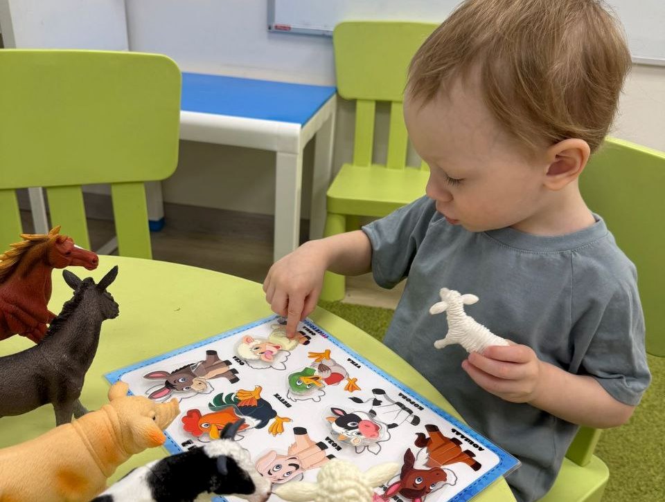 Каких животных нужно знать: путь от дошкольного возраста до начальной школы